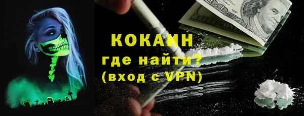 ГАЛЛЮЦИНОГЕННЫЕ ГРИБЫ Алексин