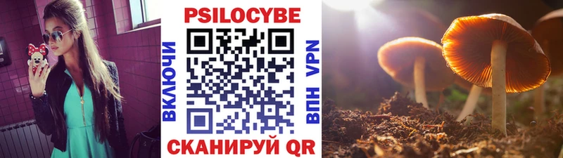 нарко площадка Telegram  Спасск-Рязанский  Галлюциногенные грибы MAGIC MUSHROOMS 